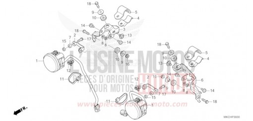 PHARE ANTIBROUILLARD GL1800DAM de 2021